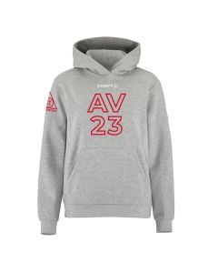 Hoodie heren grijs